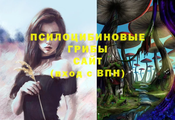 хмурый Балахна